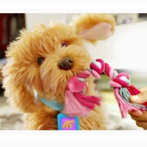 Moji Dog Toy